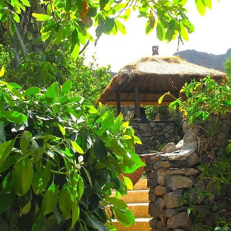 Villa With Ocean View Agulo Bagian luar foto